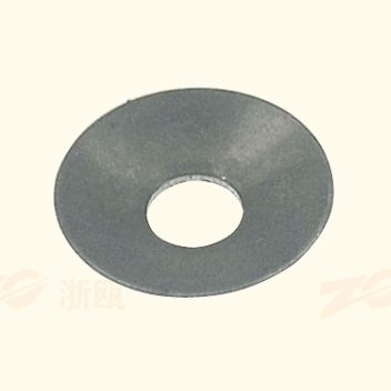 ZO-D079
